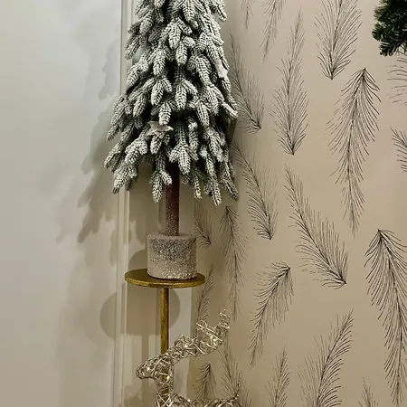 Magdalena اوفيدو